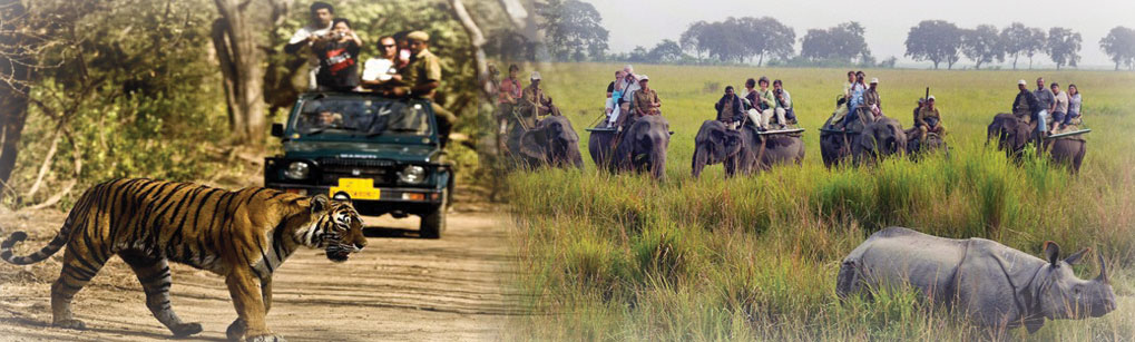 Natural Holidays Provides various Tour like Safari Tour to Kaziranga, Nameri and other places in Guwahati, Assam, Northeast India