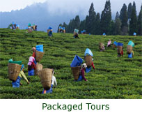 North east india tour package, north east tour package, best of north east india tours, tour north east india, best price gurantee on north east india tour packages, north east india tourism, best customized package north east india, cheap north east india tour package, north east india travel, tribes of north east india, tribal tour of north east  india, cheap tribal tour of north east india, well north east tour packages, cheap north east package, north east holiday packages, cheap north east holiday pacakage, north east packages,, north east india travel packages, north east wild life tour packages, cheap north east wild life tour packages,   cheap north east leisure holidays & tours, cheap north east adventure tours, north east adventure tours, cheap north east india adventure tours &travel, travel north east india, cheap travel north east india, north east tours, cheap north east india bird watcher tour, north east india bird watcher tour & travel, cheap cultural tours of north east india, cultural tours& travels north east india, best tour operator north east india, best travel agency of north east india, north east cultural tours, cheap north east cultural tour & travels, best cultural tours of north east india, trusted travel agency of north east india, pilgrim tour operator of north east inia, cheap pilgrim packages of north east india, cheap pilgrim tour operator of north east india, trusted travel & tour operator of north east, Assam tour package, assam  tour package, assam tours, tour assam, best price gurantee on  assam tour packages, assam  tourism, best customized package of assam, cheap assam  tour package, assam  travel, tribes of assam, tribal tour of assam, cheap tribal tour of assam, well assam packages, cheap assam package, assam holiday packages, cheap assam holiday pacakage, assam packages,, assam travel packages, assam  wild life tour packages, cheap assam wild life tour packages,   cheap assam leisure holidays & tours, cheap assam adventure tours, assam adventure tours, cheap assam adventure tours &travel, travel assam, cheap travel assam, assam tours, cheap assam  bird watcher tour, assam bird watcher tour & travel, cheap cultural tours of assam, cultural tours& travels assam, best tour operator in assam, best travel agency of assam, assam cultural tours, cheap assam cultural tour & travels, best cultural tours of assam, trusted travel agency in assam, pilgrim tour operator of assam, cheap pilgrim packages of assam, cheap pilgrim tour operator in assam, trusted travel & tour operator of Tawang travel agent, cheap tour operator in Tawang, Tawang tour operator, Tawang package tour, manas package tour,kamakhya tour package, majuli tour package, majuli tour operator, majuli travel agent, dibru saikhowa tour package, pobitora tour package,nameri tour package, golf tour package in assm, tea tourism, tea tour package in assam, heritage tour operator & travel agent of assam, historical tours & travels of assam,  historical tours of north east, north east tea tourism, heritage tours of north east, guwahati travel agent, guwahati tour package, cheap guwahati tour package,Meghalaya  tour package, shillong tour package, cherrapunji tours, tour mawlynong, best price gurantee on  meghalaya tour packages, meghalaya tourism, best customized package of meghalaya, cheap meghalaya tour package, meghalaya travel, tribes of meghalaya, tribal tour of meghalaya, cheap tribal tour of meghalaya, well meghalaya packages, cheap meghlya package, meghalaya holiday packages, cheap meghalaya holiday pacakage, meghalaya packages,, meghalaya travel packages, meghalaya  wild life tour packages, cheap Meghalaya wild life tour packages,   cheap meghalaya leisure holidays & tours, cheap meghalaya adventure tours, meghalaya  adventure tours, cheap meghalaya adventure tours &travel, travel meghalaya, cheap travel meghalaya, meghalaya tours, cheap meghalaya  bird watcher tour, meghalaya bird watcher tour & travel, cheap cultural tours of meghalaya, cultural tours& travels meghalaya, best tour operator in meghalaya, best travel agency of meghalaya, Meghalaya cultural tours, cheap meghalaya cultural tour & travels, best cultural tours of meghalaya, trusted travel agency in meghalaya, pilgrim tour operator of meghalaya, cheap pilgrim packages of meghalaya, cheap pilgrim tour operator, trusted travel & tour operator, Nagaland  tour package, horn bill festival  tour package, Nagaland tours, kohima tour Nagaland, best price guarantee on  Nagaland tour packages, Nagaland  tourism, best customized package of Nagaland, cheap Nagaland  tour package, Nagaland  travel, tribes of Nagaland, tribal tour of Nagaland, cheap tribal tour of Nagaland, well Nagaland packages, cheap Nagaland package, Nagaland holiday packages, cheap Nagaland holiday package, Nagaland packages, Nagaland travel packages, Nagaland  wild life tour packages, cheap Nagaland wild life tour packages,   cheap Nagaland leisure holidays & tours, cheap Nagaland adventure tours, Nagaland adventure tours, cheap Nagaland adventure tours &travel, travel Nagaland, cheap travel Nagaland, Nagaland tours, cheap Nagaland  bird watcher tour, Nagaland bird watcher tour & travel, cheap cultural tours of Nagaland, cultural tours& travels Nagaland, best tour operator in Nagaland, best travel agency of Nagaland, Nagaland cultural tours, cheap Nagaland cultural tour & travels, best cultural tours of Nagaland, trusted travel agency in Nagaland, pilgrim tour operator of Nagaland, cheap pilgrim packages of Nagaland, cheap pilgrim tour operator in Nagaland, trusted travel & tour operator of Nagaland travel agent, cheap tour operator in Nagaland, Nagaland tour operator, Nagaland package tour, Nagaland package tour, Nagaland tour package, Nagaland i tour package, Nagaland tour operator, Nagaland travel agent, Nagaland tour package, Nagaland tour package, Nagaland  tour package, Arunachal pradesh tour package, tawang festival  tour package, tawang tour, bomdila tour package, dirang tour package,Arunachal pradesh tours, Arunachal pradesh tour , best price gurantee on  Arunachal pradesh tour packages, Arunachal pradesh  tourism, best customized package of Arunachal pradesh, cheap Arunachal pradesh  tour package, Arunachal pradesh  travel, tribes of Arunachal pradesh, tribal tour of Arunachal pradesh, cheap tribal tour of Arunachal pradesh, well Arunachal pradesh packages, cheap Arunachal pradesh package, Arunachal pradesh holiday packages, cheap Arunachal pradesh holiday pacakage, Arunachal pradesh packages, Arunachal pradesh travel packages, Arunachal pradesh  wild life tour packages, cheap Arunachal pradesh wild life tour packages,   cheap Arunachal pradesh leisure holidays & tours, cheap Arunachal pradesh adventure tours, Arunachal pradesh adventure tours, cheap Arunachal pradesh adventure tours &travel, travel Arunachal pradesh, cheap travel Arunachal pradesh, Arunachal pradesh tours, cheap Arunachal pradesh  bird watcher tour, Arunachal pradesh bird watcher tour & travel, cheap cultural tours of Arunachal pradesh, cultural tours& travels Arunachal pradesh, best tour operator in Arunachal pradesh, best travel agency of Arunachal pradesh, Arunachal pradesh cultural tours, cheap Arunachal pradesh cultural tour & travels, best cultural tours of Arunachal pradesh, trusted travel agency in Arunachal ,pradesh pilgrim tour operator of Arunachal Pradesh, cheap pilgrim packages of Arunachal pradesh, cheap pilgrim tour operator in Arunachal pradesh, trusted travel & tour operator of Arunachal pradesh travel agent, cheap tour operator in Arunachal Pradesh, Arunachal pradesh tour operator, Arunachal pradesh package tour, Arunachal pradesh package tour, Arunachal pradesh tour package, Arunachal pradesh tour package, Arunachal pradesh tour operator, Arunachal pradesh travel agent, Arunachal pradesh tour package, Arunachal pradesh tour package, Arunachal pradesh  tour package, Sikkim tour operator, Sikkim travel agent, package tour for Sikkim, cheap Sikkim package tour, Darjeeling package tour, Darjeeling travel agent, Darjeeling tour operator, Darjeeling package tours, cheap Darjeeling package tour, cheap Darjeeling travel package