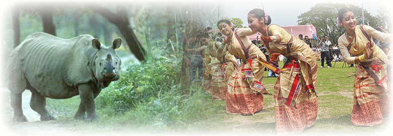 Tourist Places, Festivals, National Parks in Assam